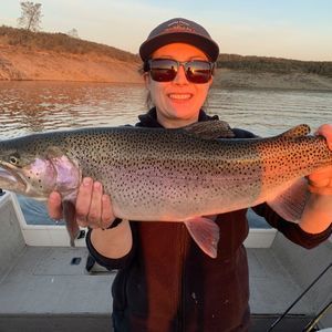 Meet your Posher, Macy